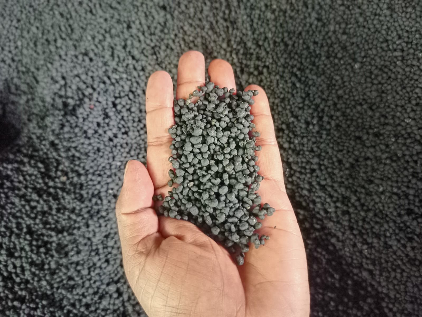 Organic Manure